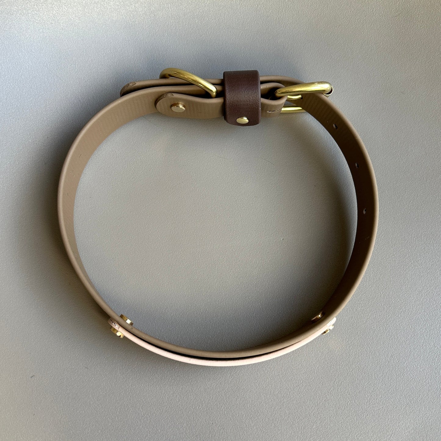 Coffee Colourband BioThane® Collar