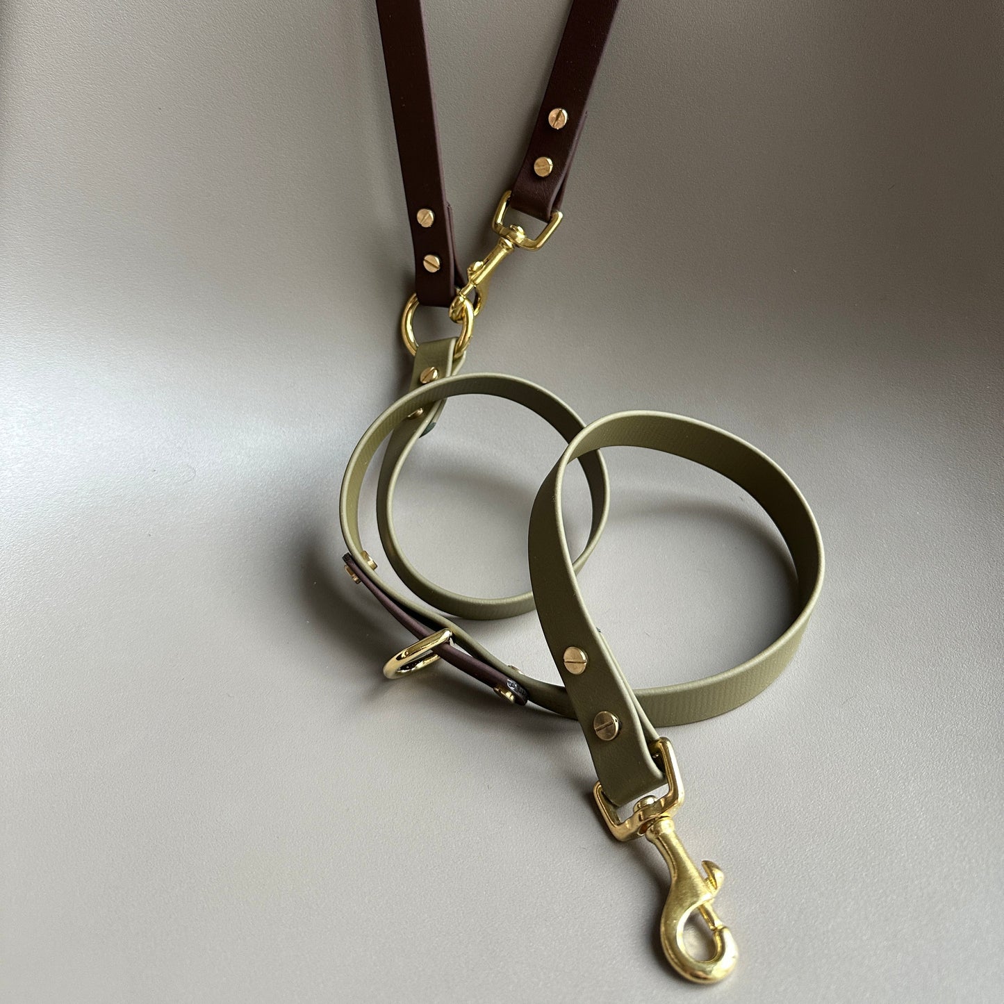 Milo Crossbody Multiway BioThane® Lead