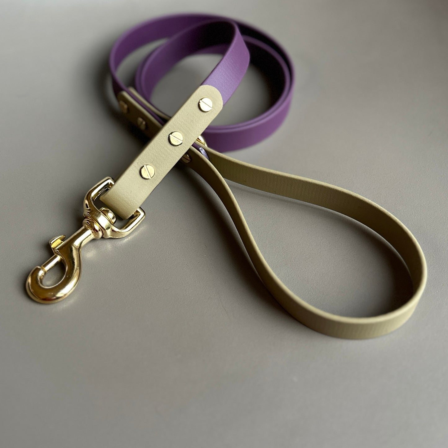 Maggie Colourblock BioThane® Lead