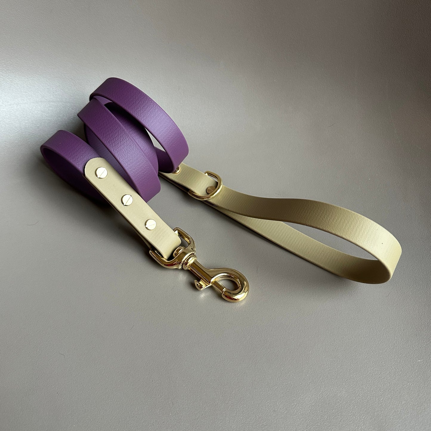 Maggie Colourblock BioThane® Lead