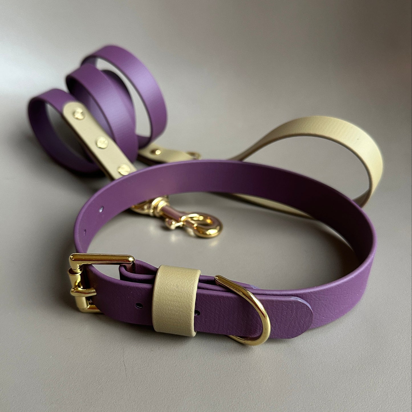 Maggie Colourblock BioThane® Lead