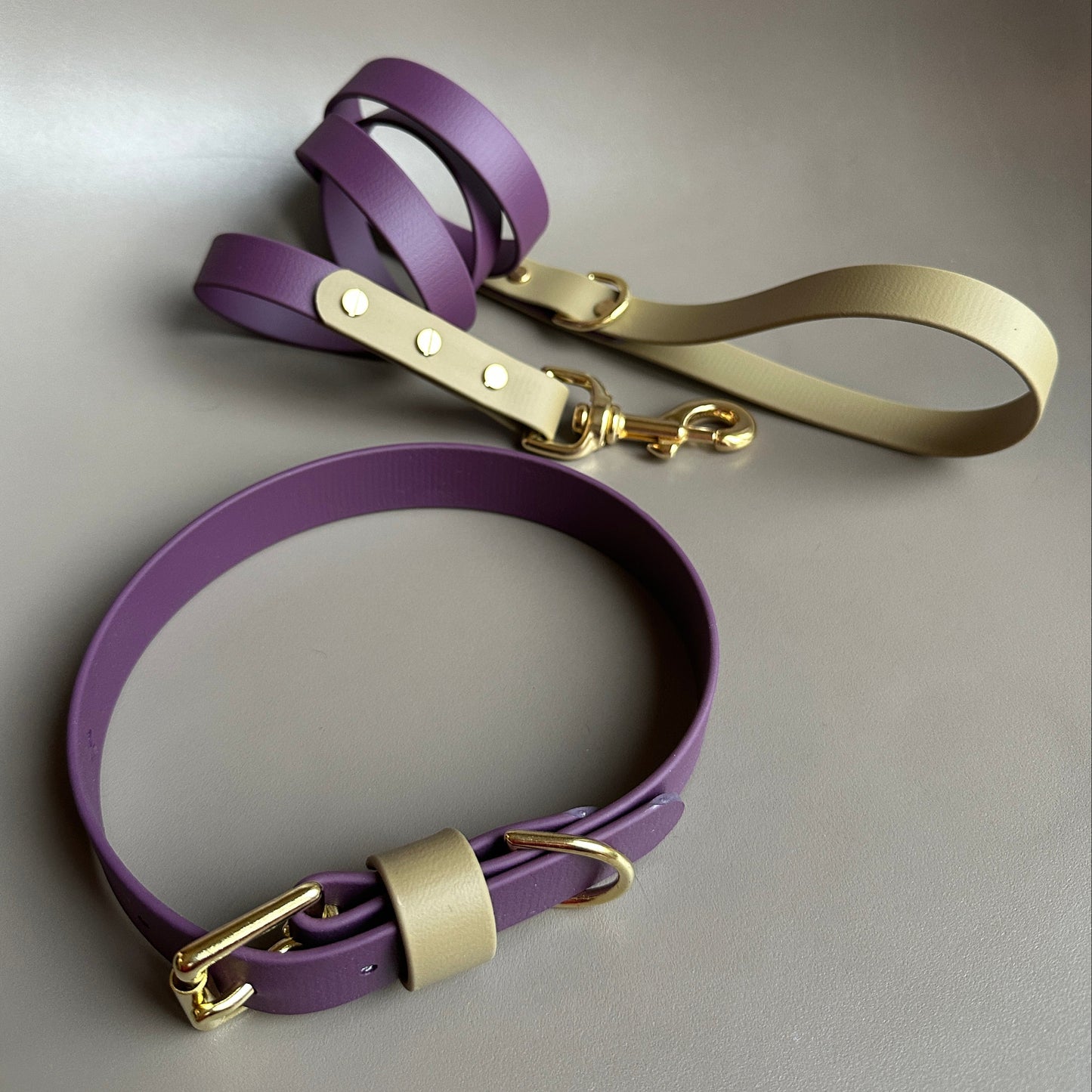 Maggie Colourblock BioThane® Lead