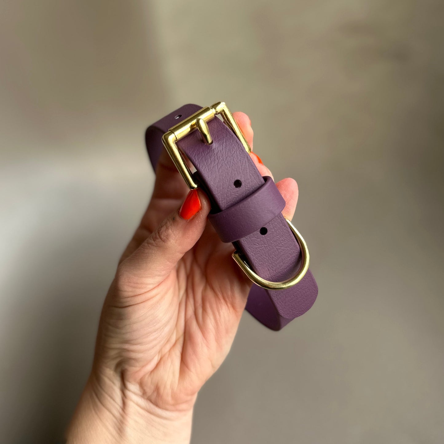 Aubergine BioThane® Collar