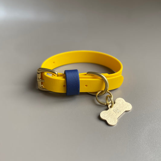 Sunny Colourblock BioThane® Collar