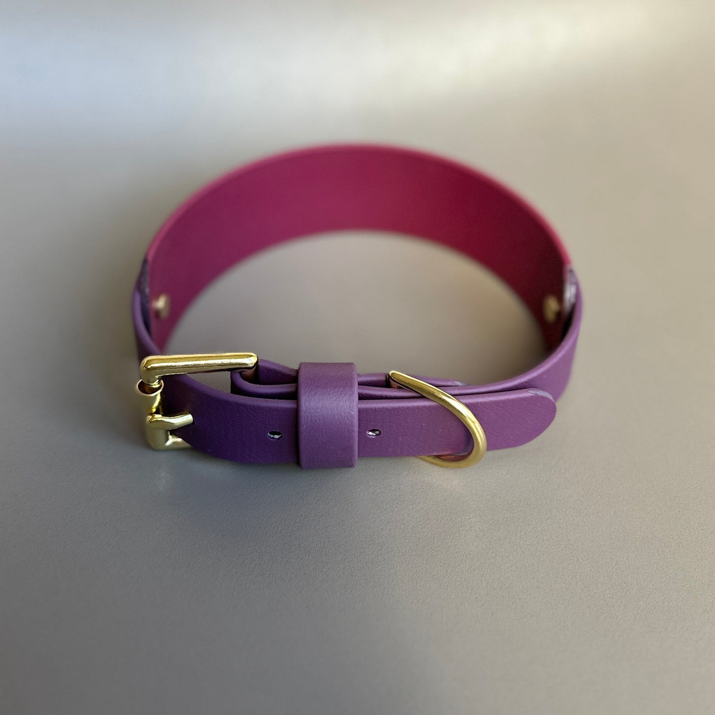 Saigey BioThane® Hound Style Collar