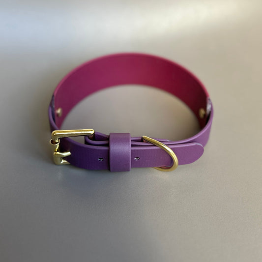 Saigey BioThane® Hound Style Collar