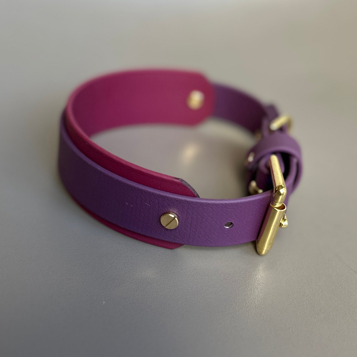 Saigey BioThane® Hound Style Collar