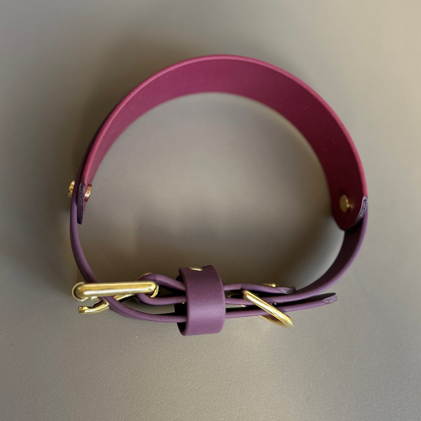 Saigey BioThane® Hound Style Collar