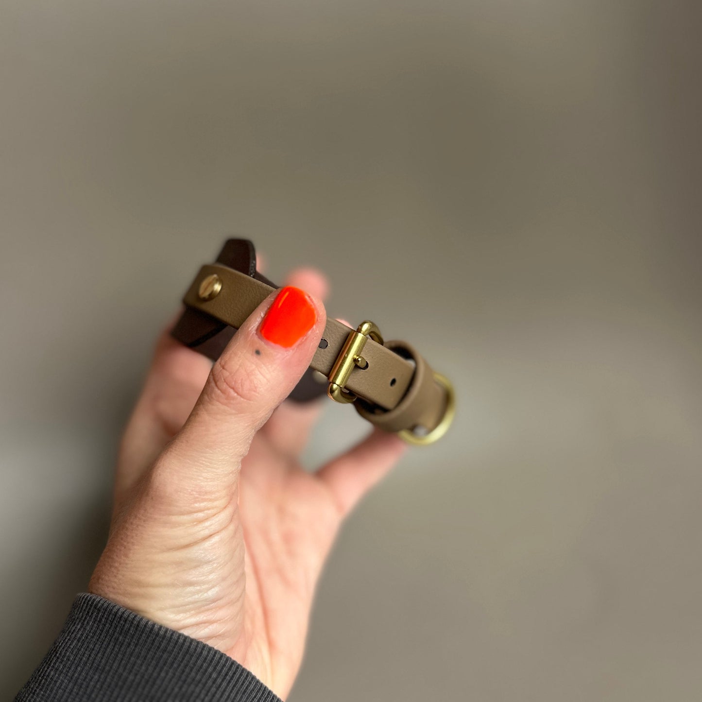 Mia BioThane® Hound Style Collar