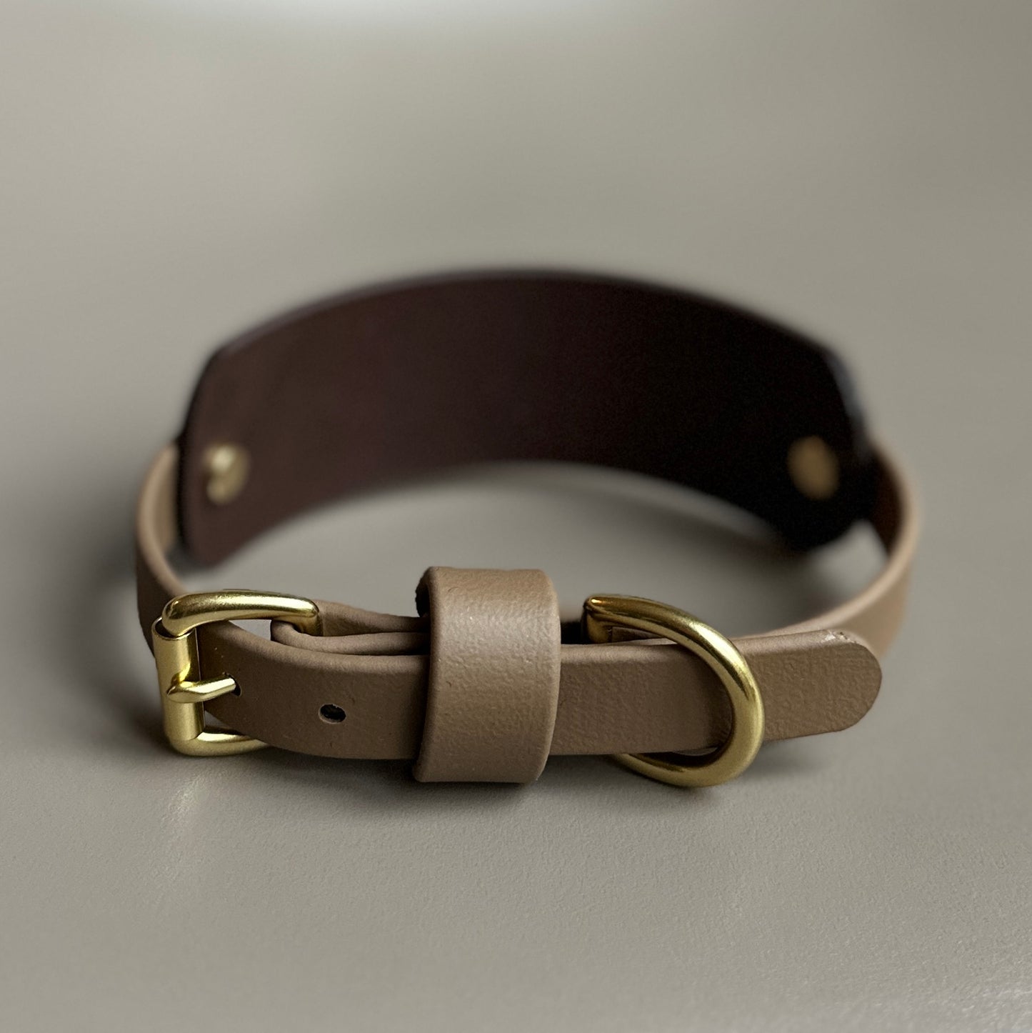 Mia BioThane® Hound Style Collar