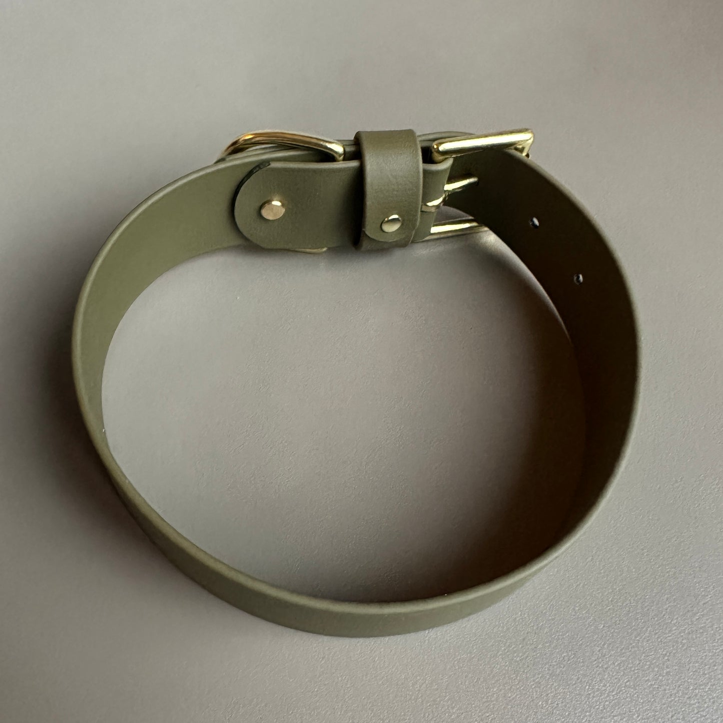 Wide 38mm BioThane® Collar