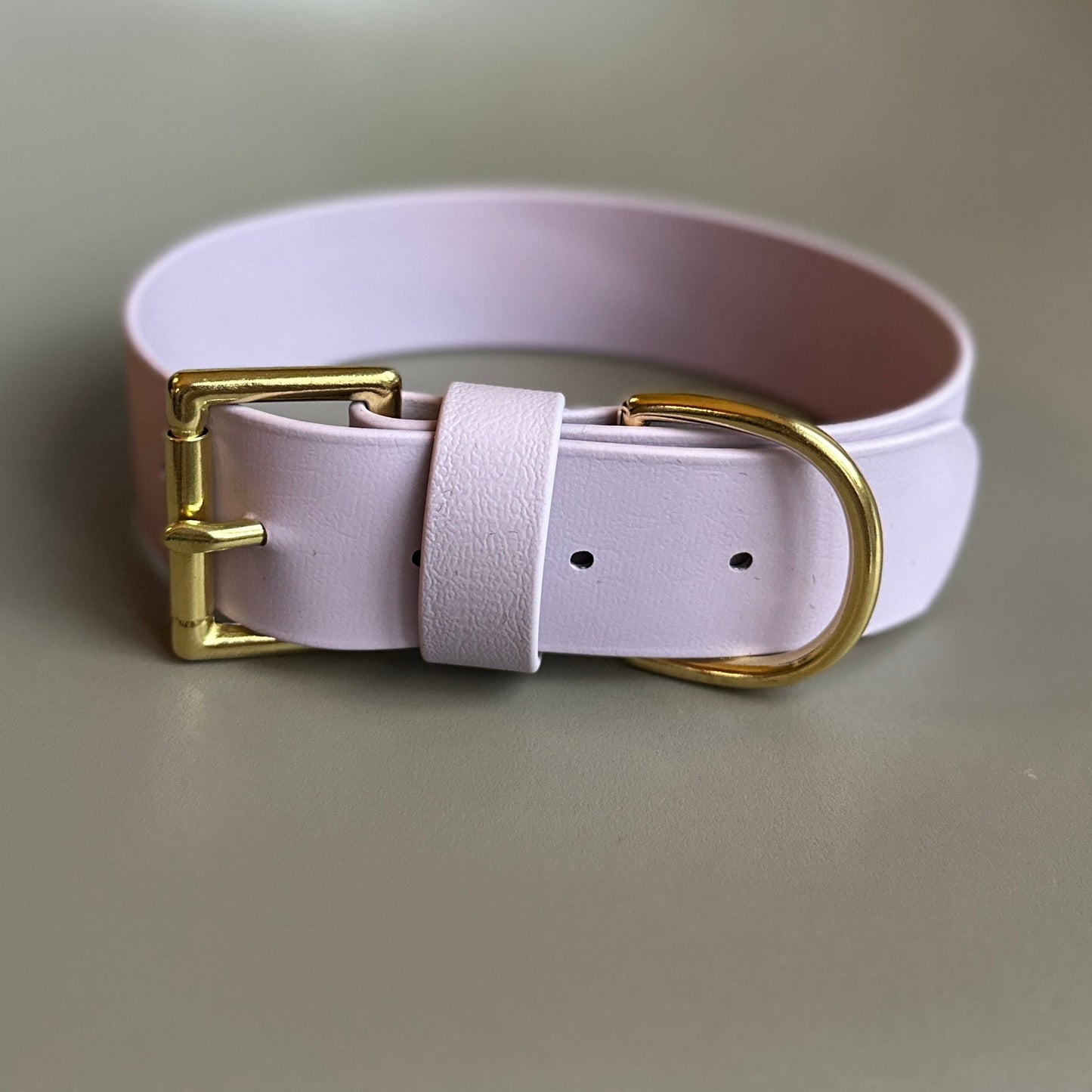 Wide 38mm BioThane® Collar