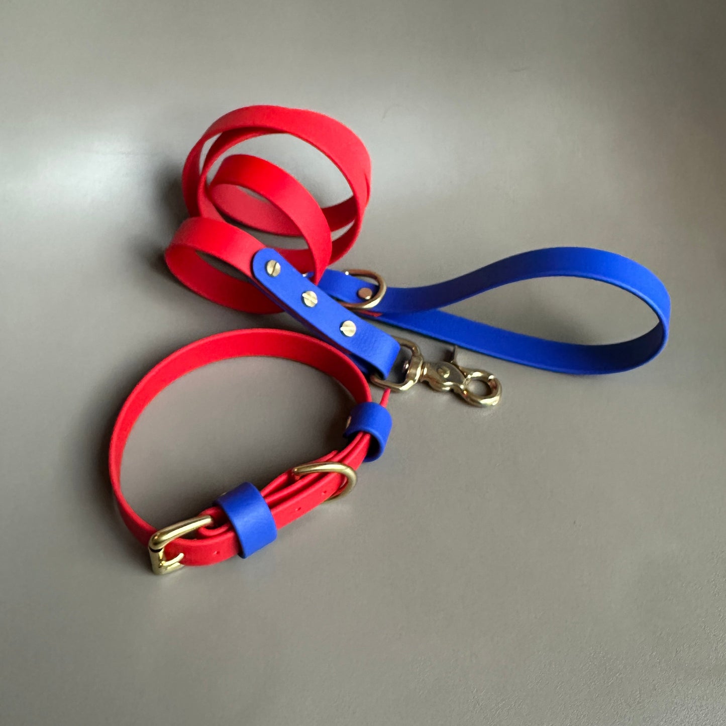 Frankie Colourblock BioThane® Lead