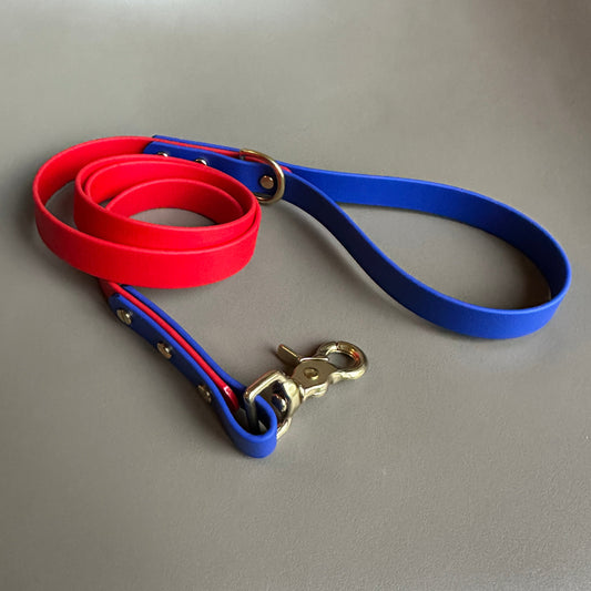 Frankie Colourblock BioThane® Lead