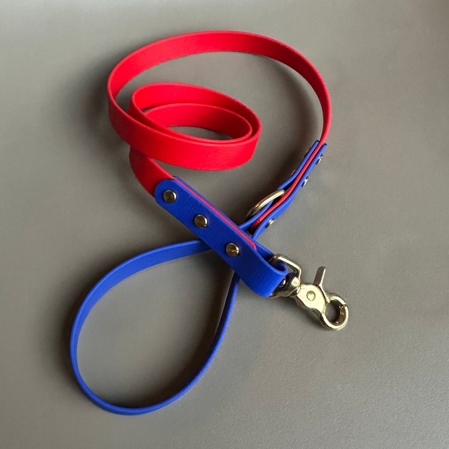 Frankie Colourblock BioThane® Lead