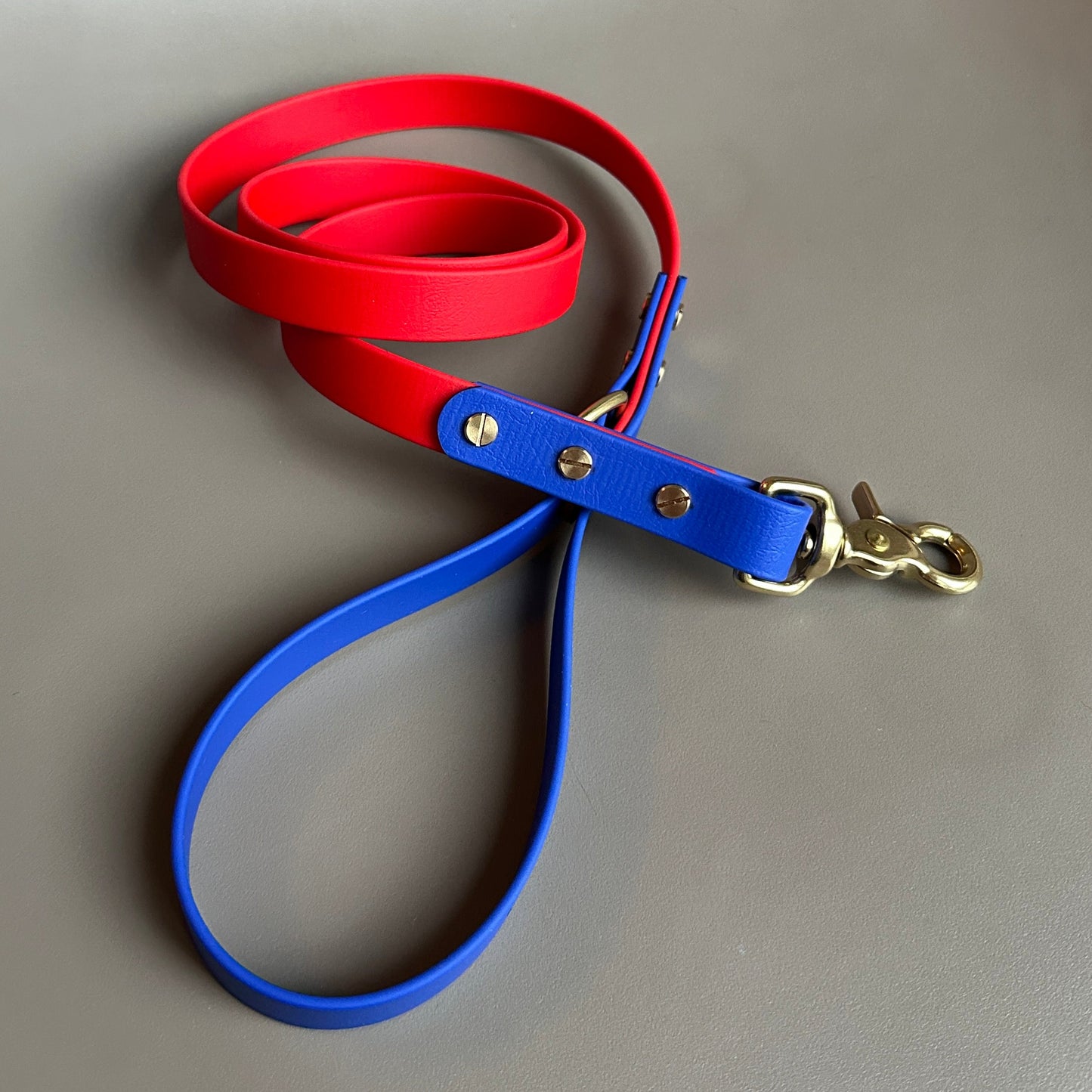 Frankie Colourblock BioThane® Lead