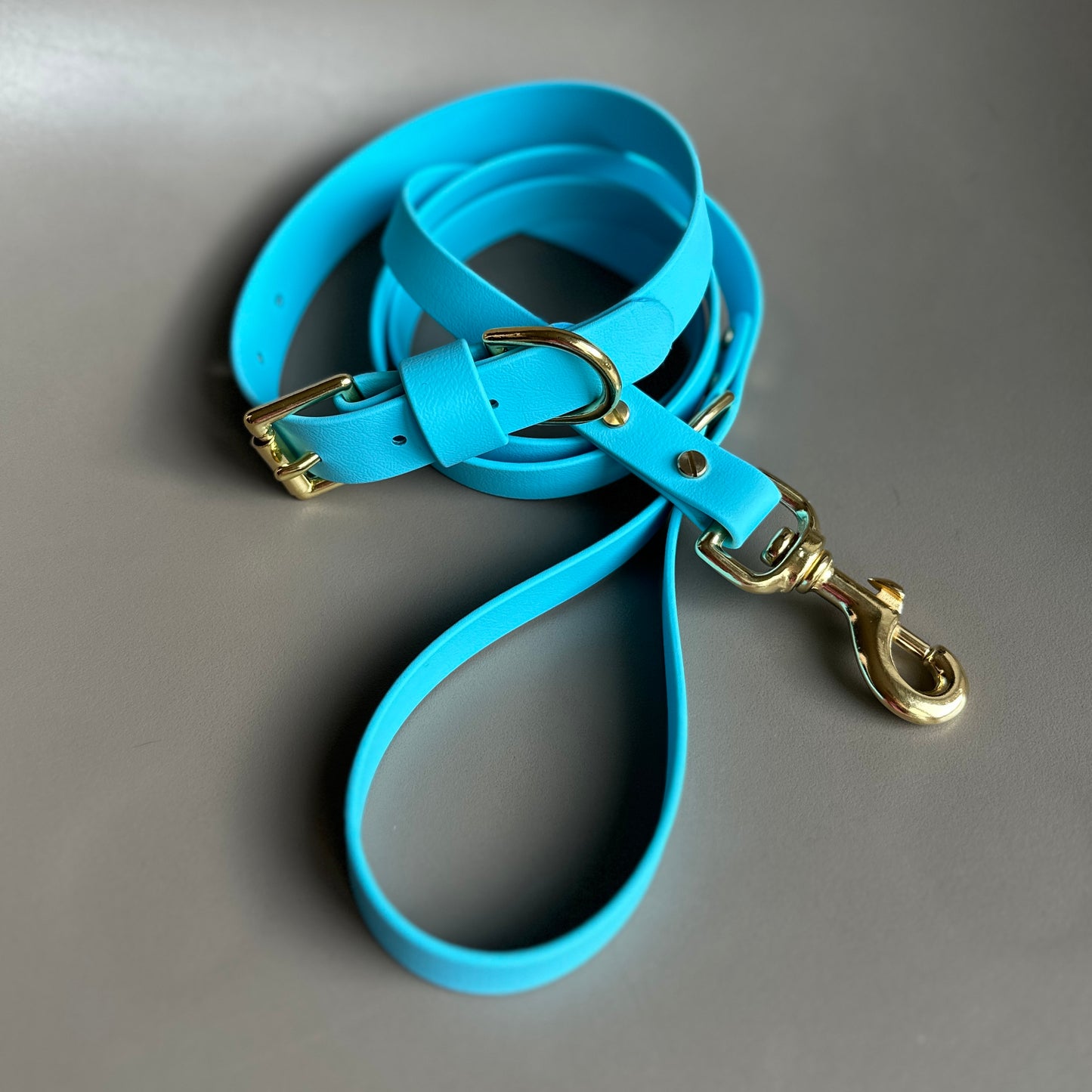 Sky Blue BioThane® Collar