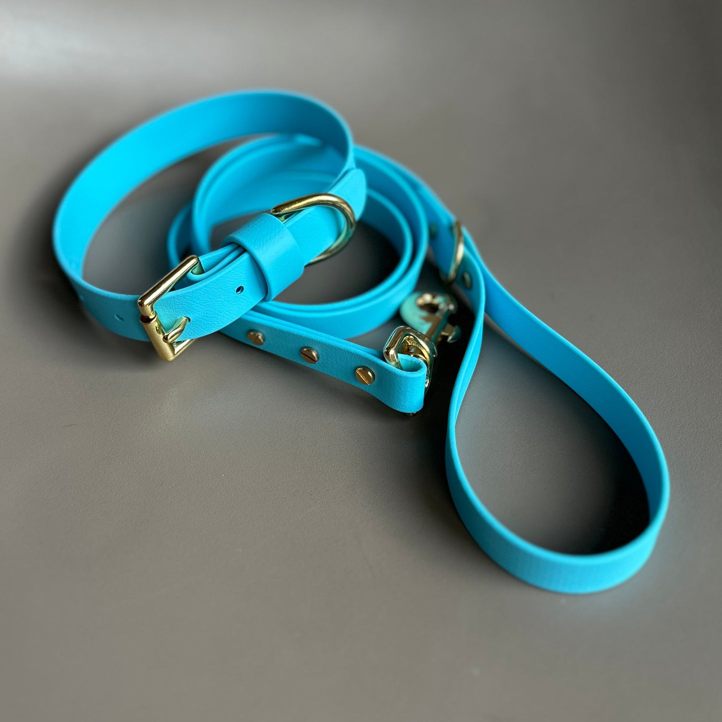 Sky Blue BioThane® Lead