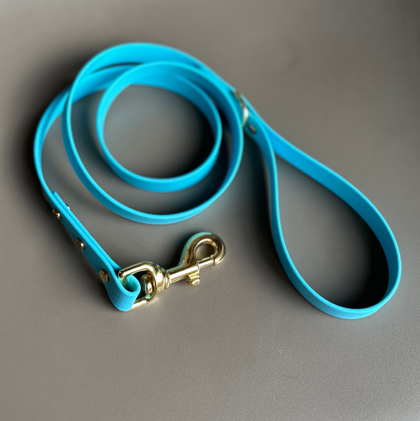 Sky Blue BioThane® Lead