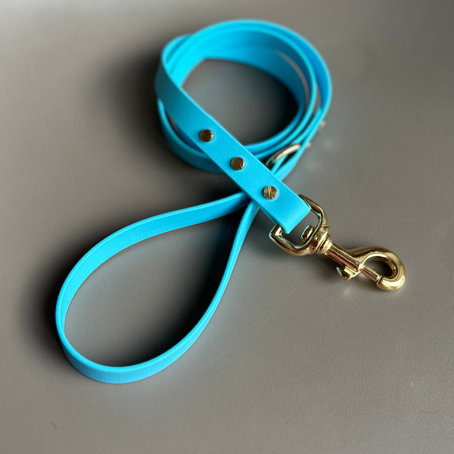 Sky Blue BioThane® Lead