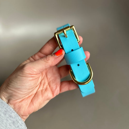 Sky Blue BioThane® Collar