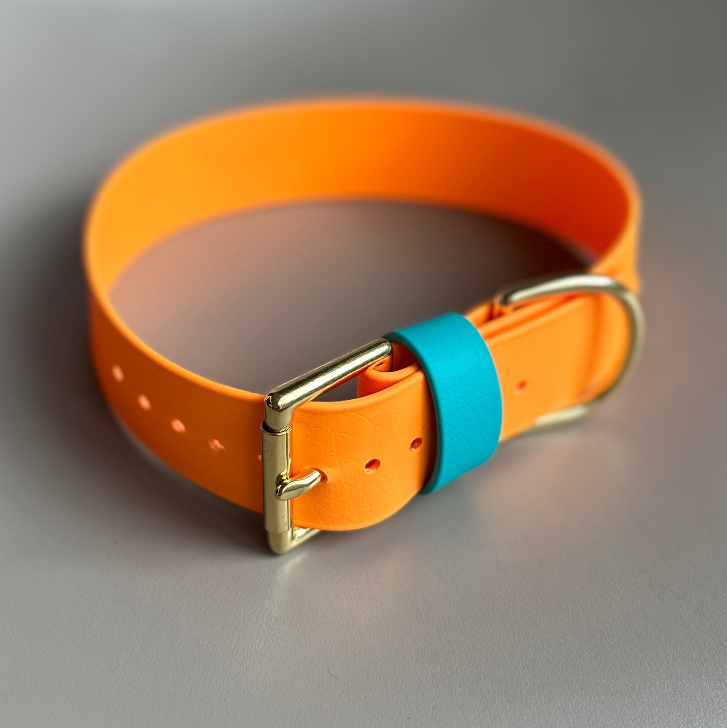 Argyle Wide 38mm BioThane® Collar