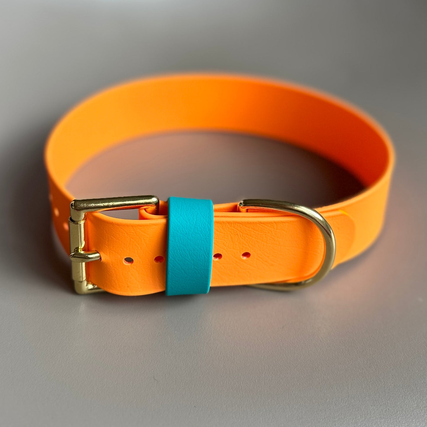 Argyle Wide 38mm BioThane® Collar