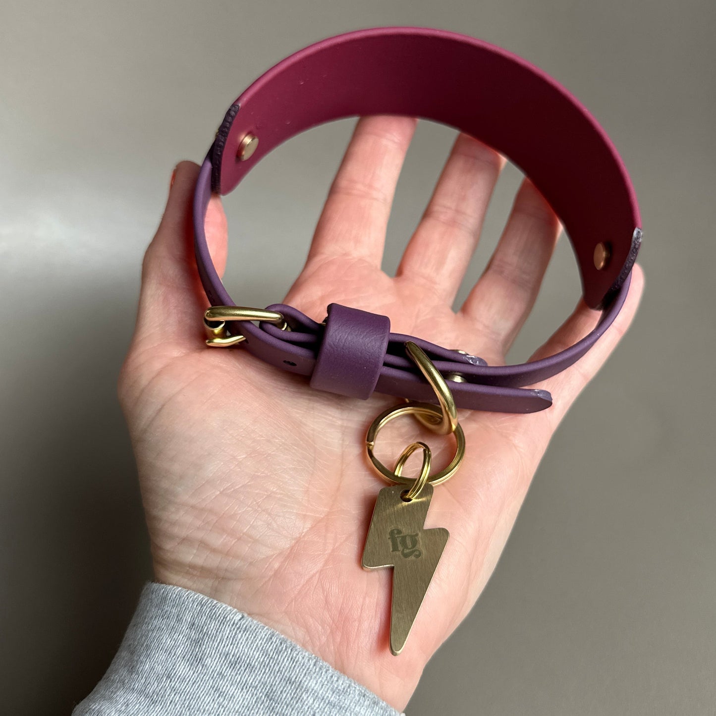 Saigey BioThane® Hound Style Collar