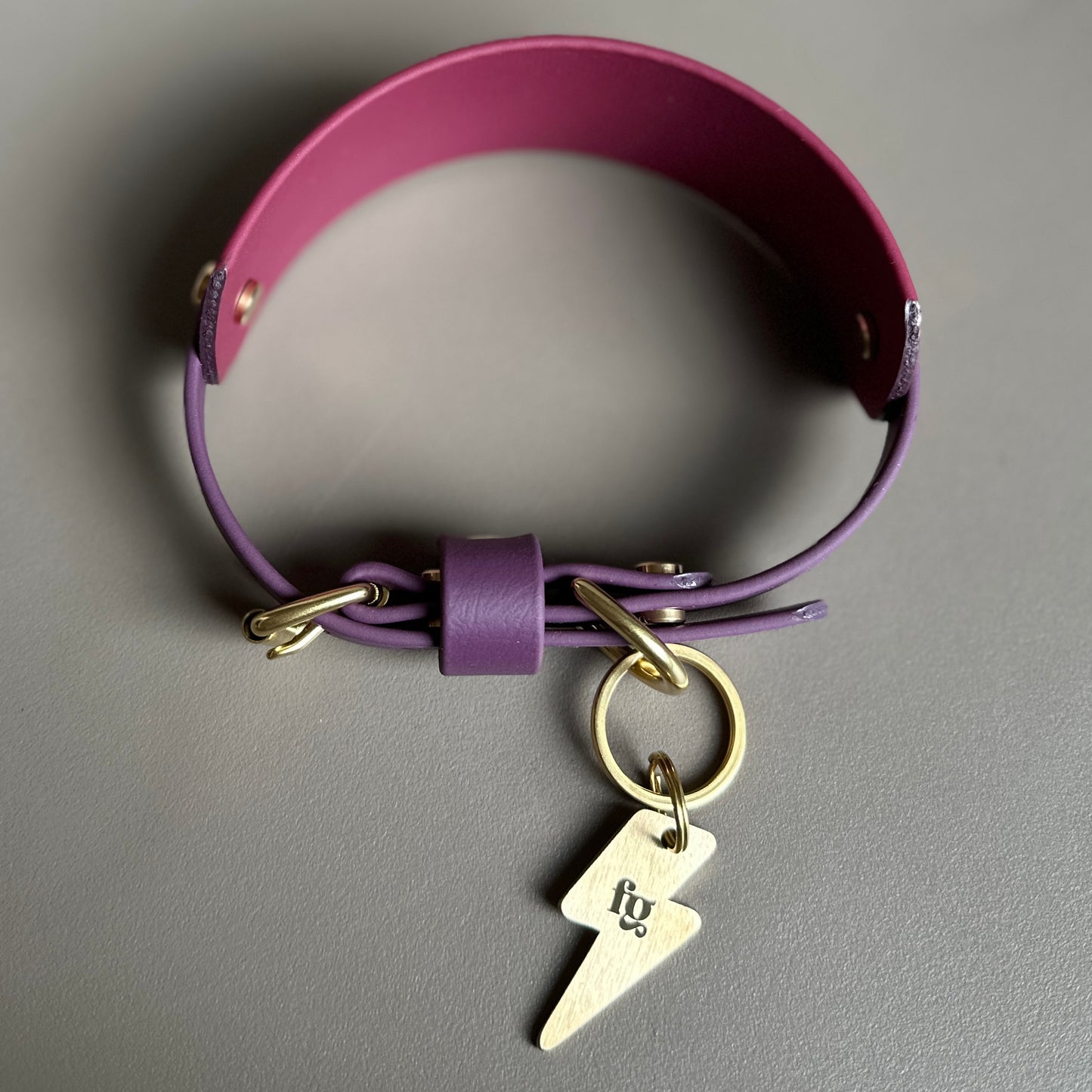 Saigey BioThane® Hound Style Collar