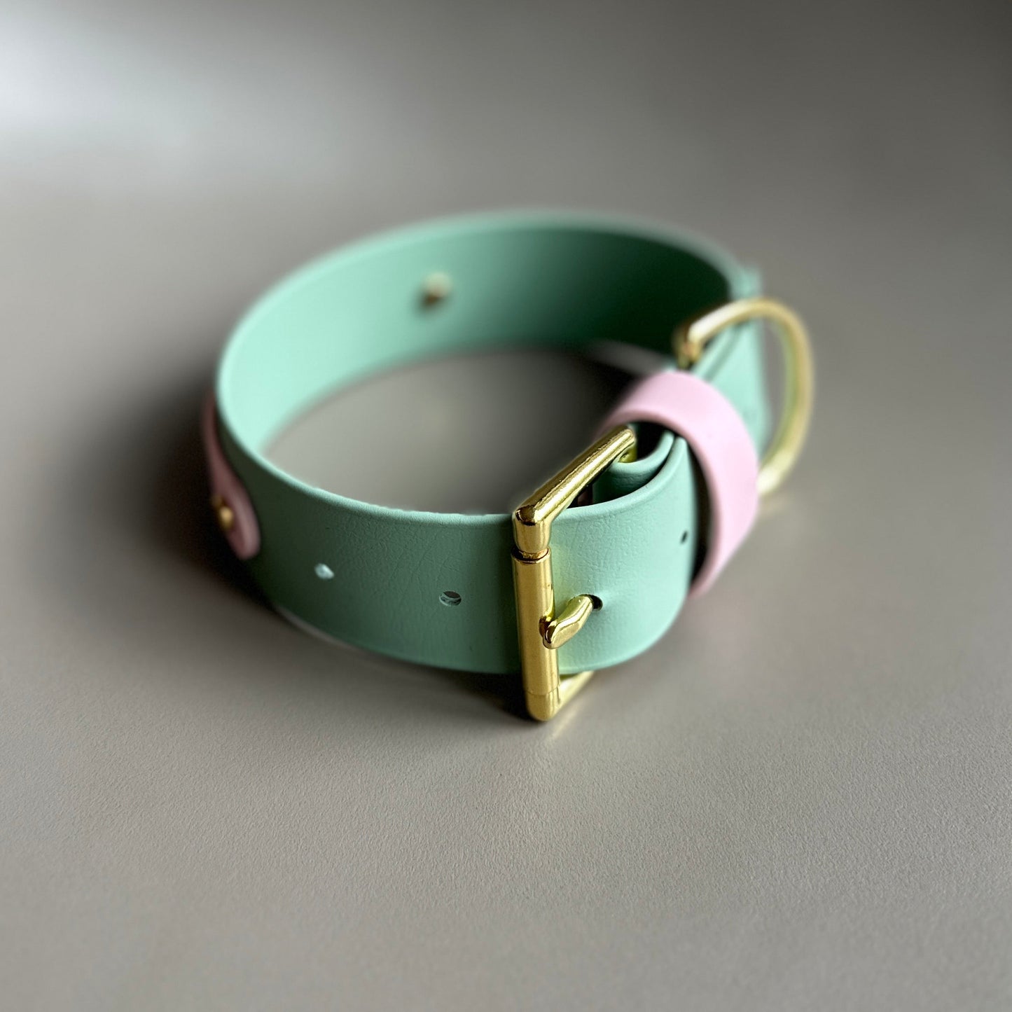 Mini Egg Wide 38mm BioThane® Collar
