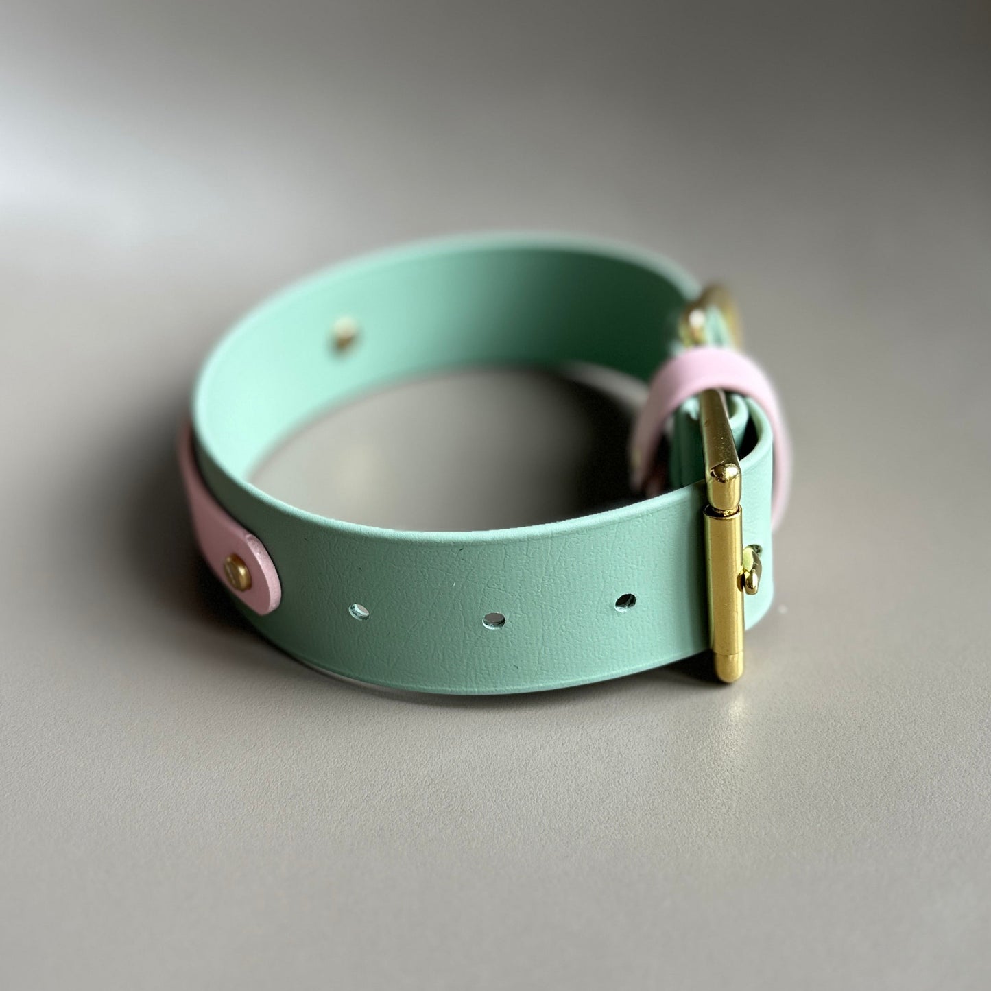 Mini Egg Wide 38mm BioThane® Collar