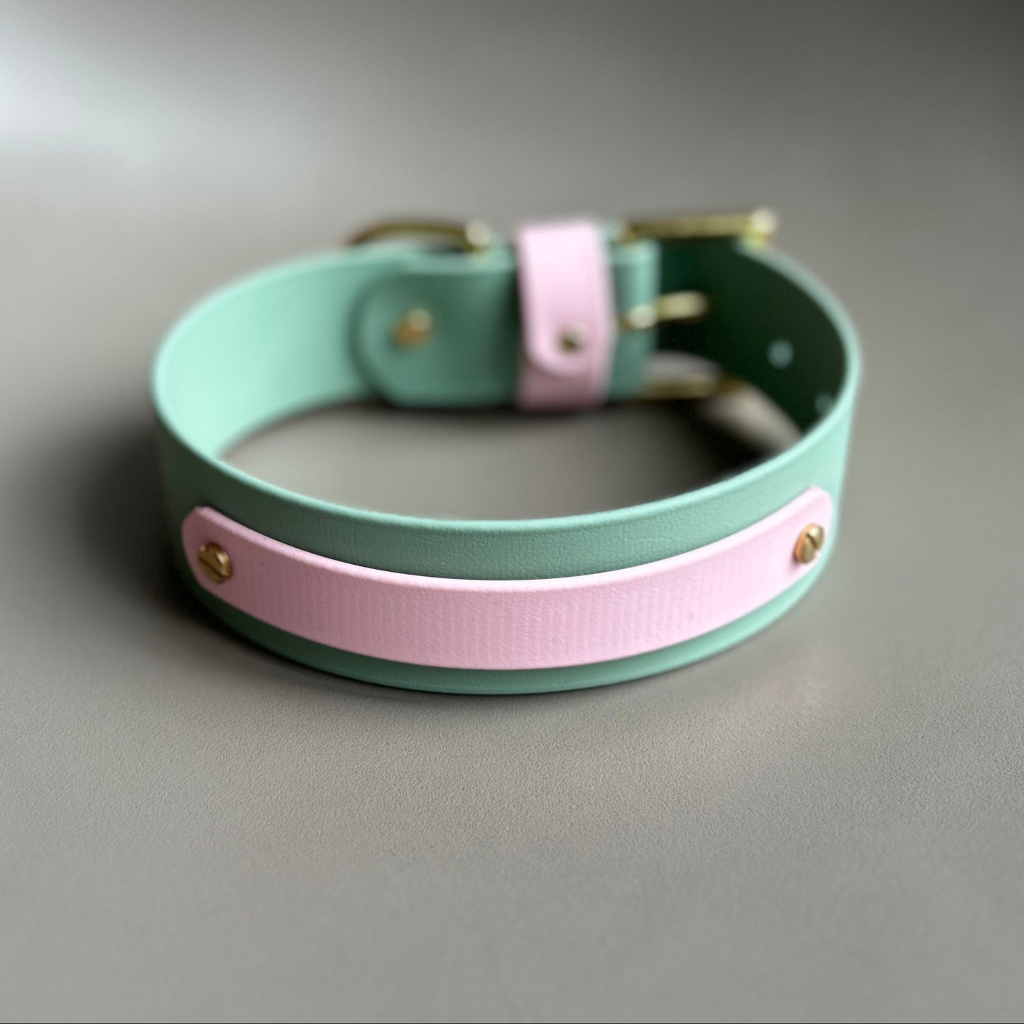 Mini Egg Wide 38mm BioThane® Collar