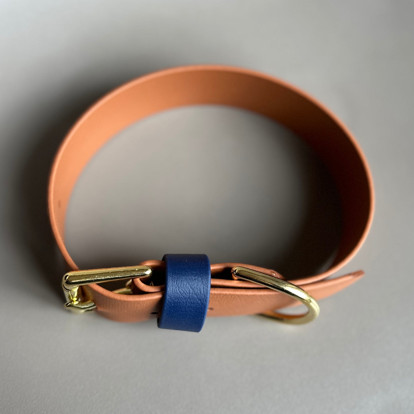 Bud Wide 38mm BioThane® Collar