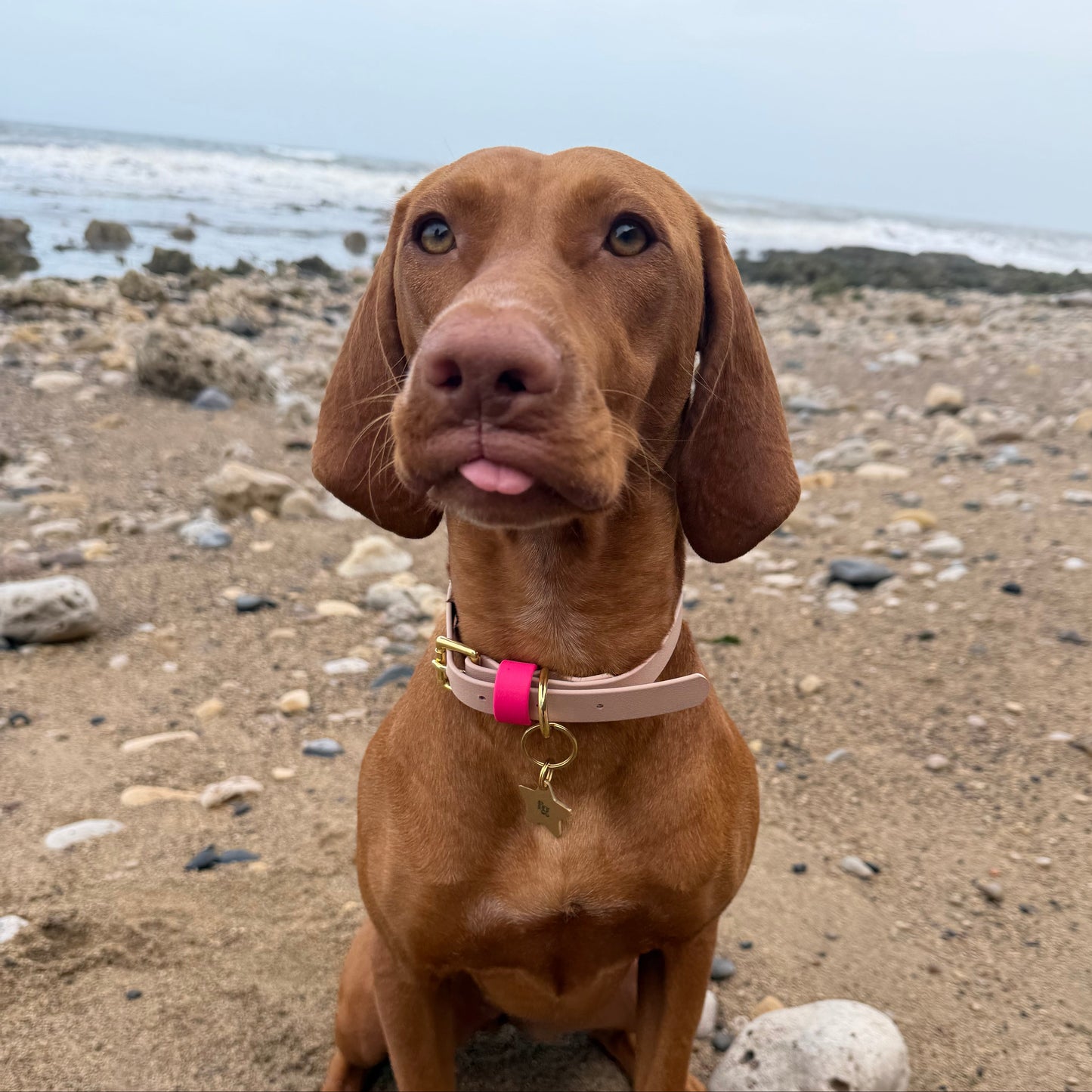 Mallow BioThane® Hound Style Collar