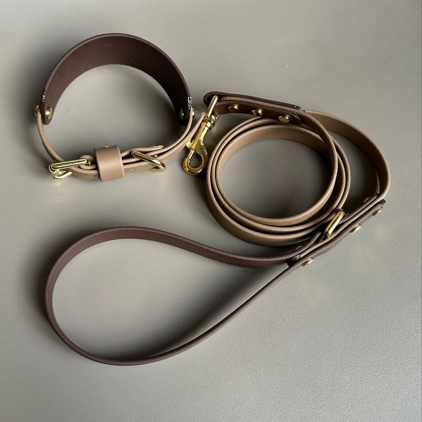 Mia Colourblock BioThane® Lead