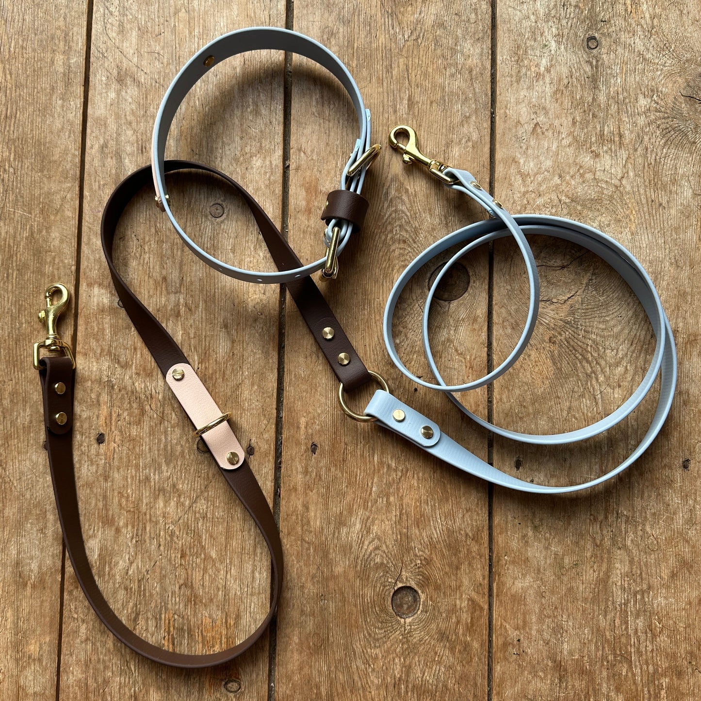 Reuben Crossbody Multiway BioThane® Lead