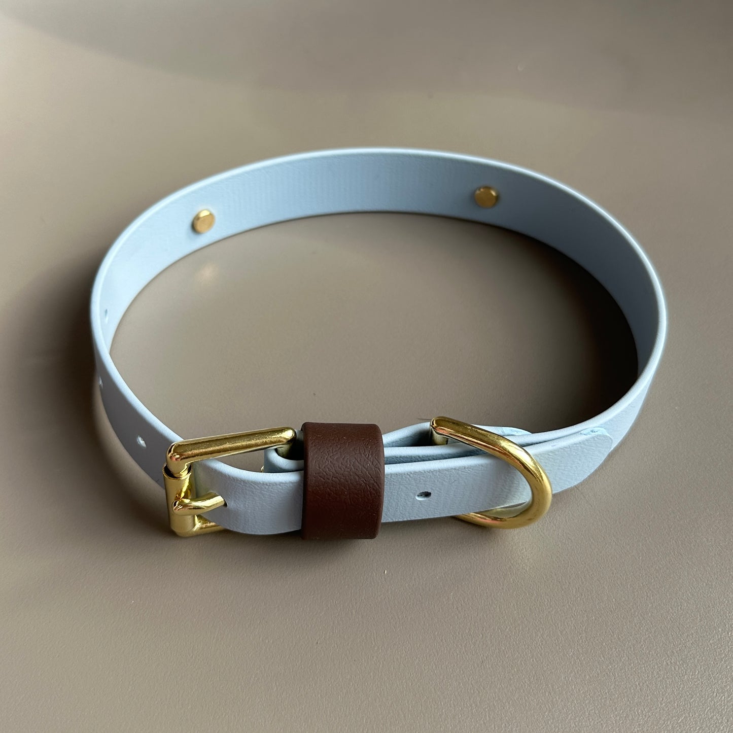 Reuben Colourband BioThane® Collar