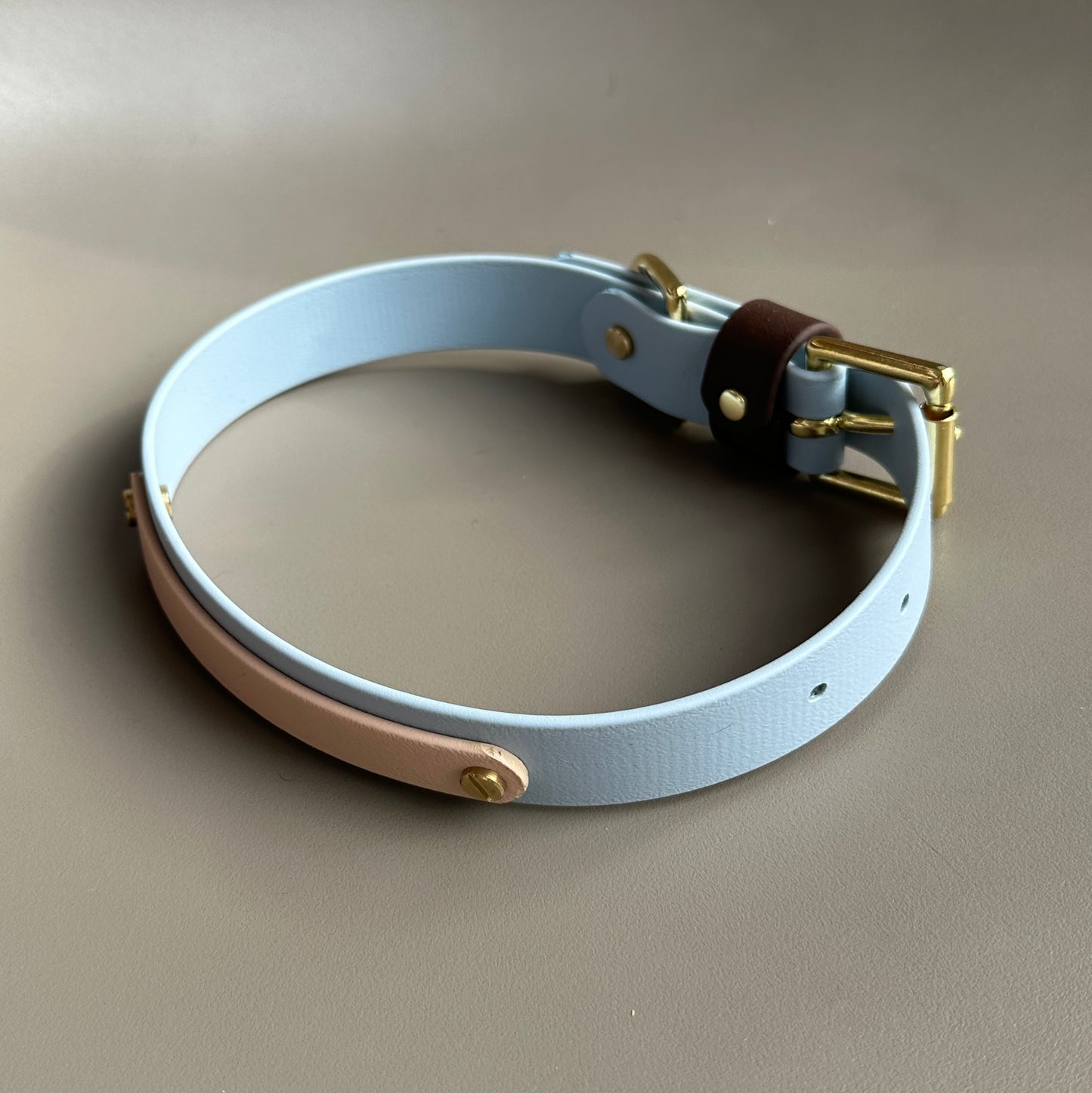 Reuben Colourband BioThane® Collar