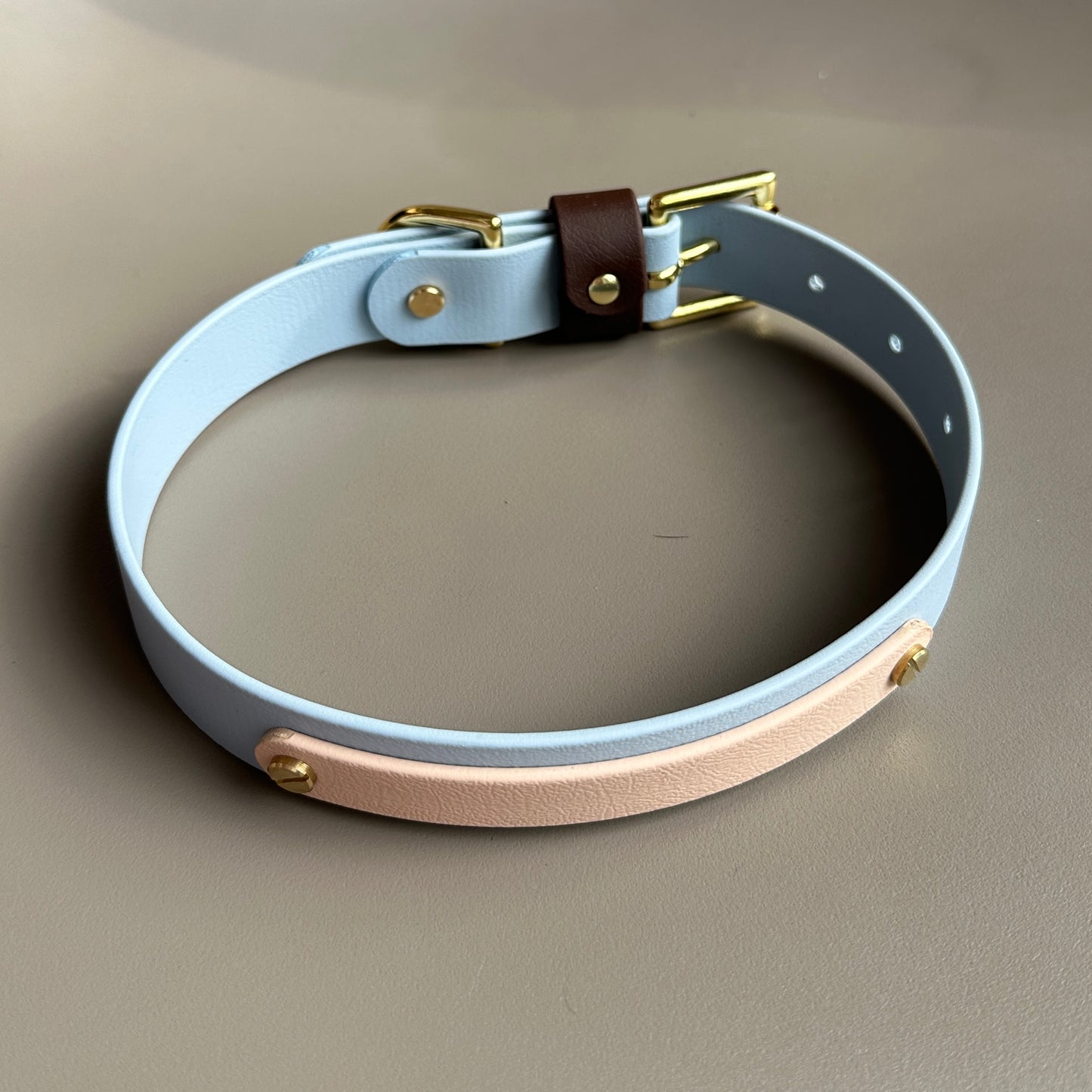 Reuben Colourband BioThane® Collar