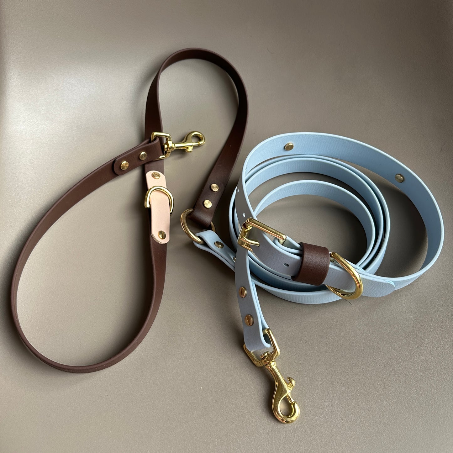 Reuben Colourband BioThane® Collar