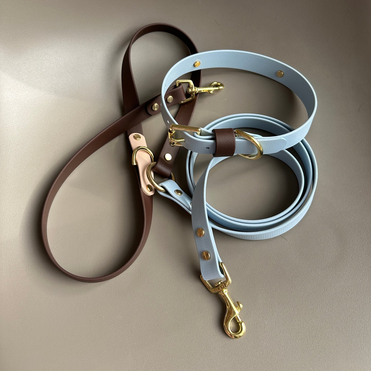 Reuben Colourband BioThane® Collar