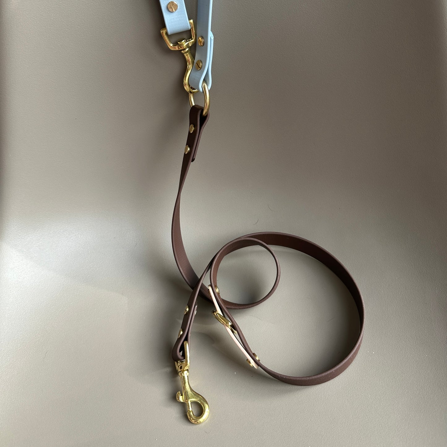 Reuben Crossbody Multiway BioThane® Lead