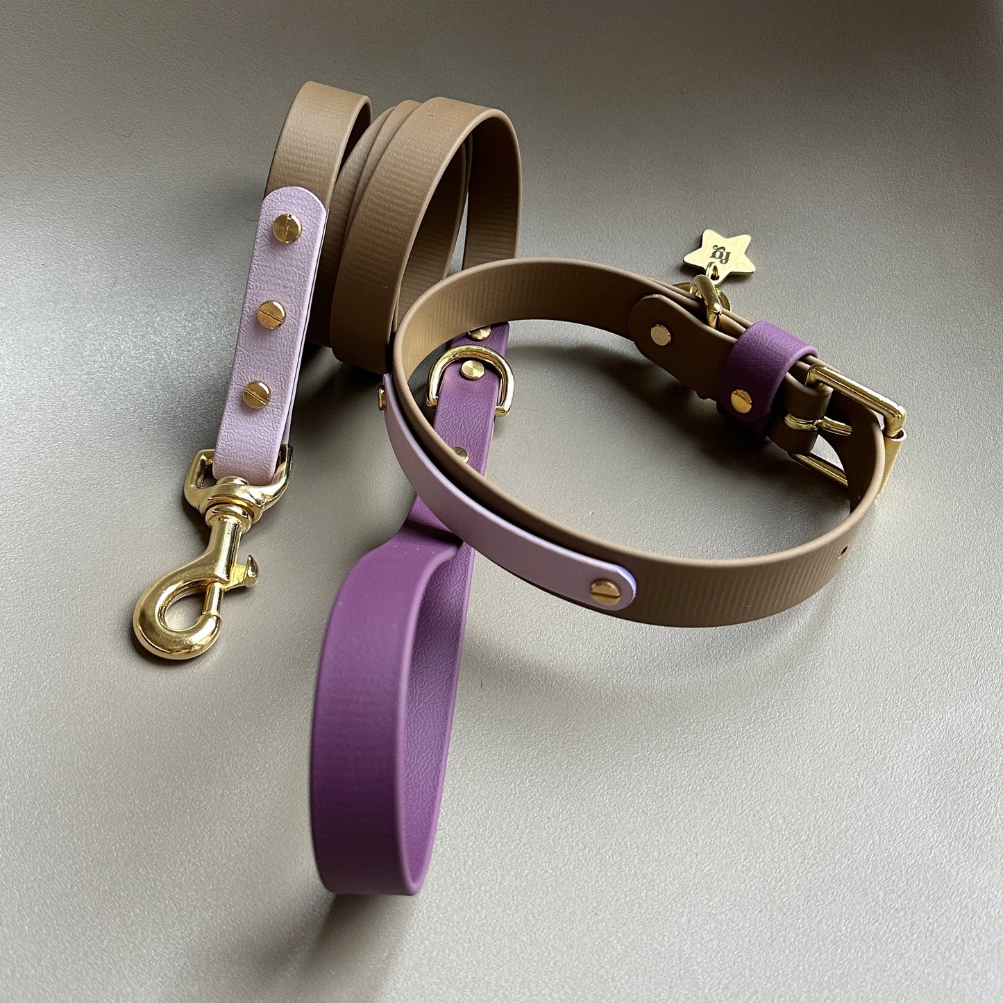 Plum Colourband BioThane® Collar