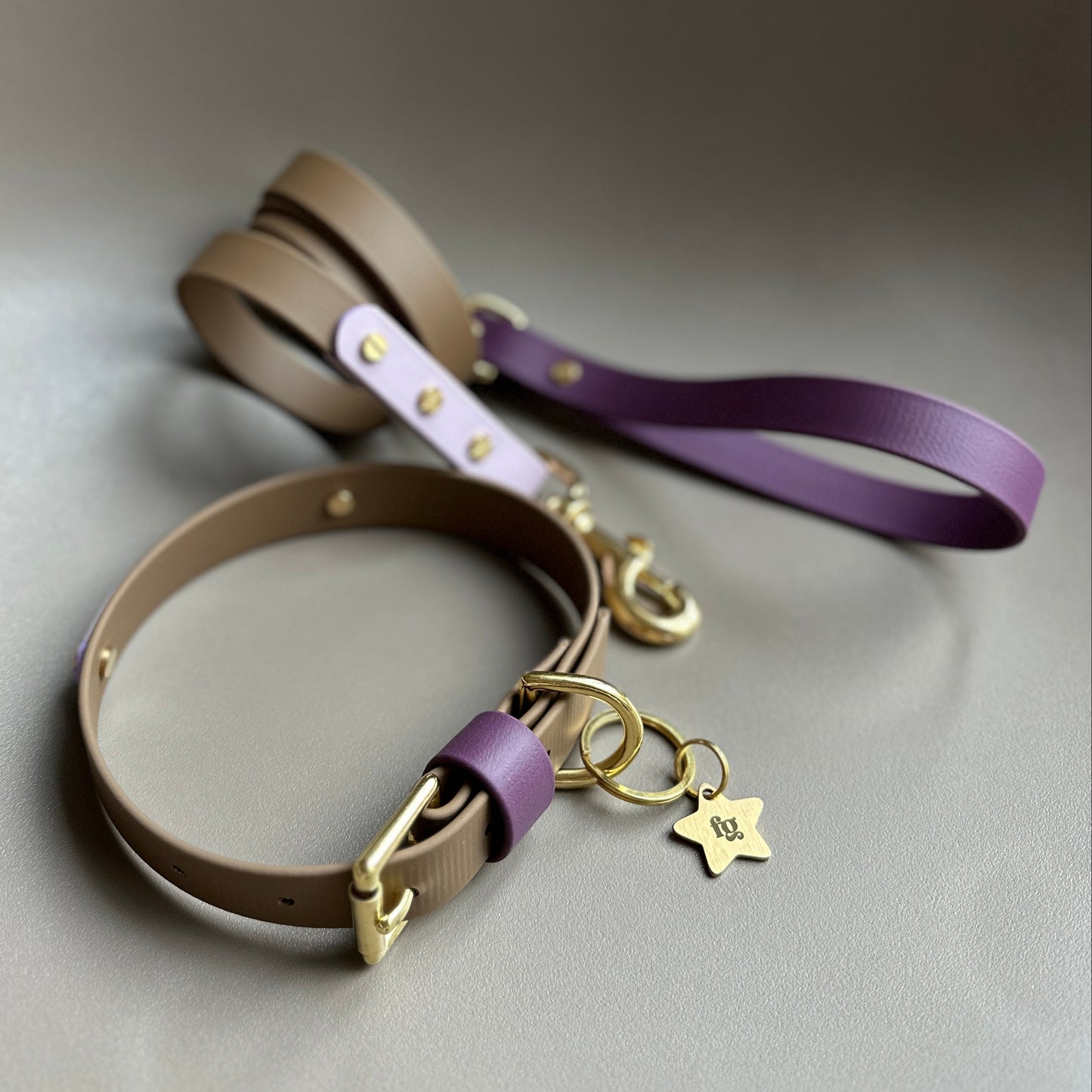 Plum Colourband BioThane® Collar