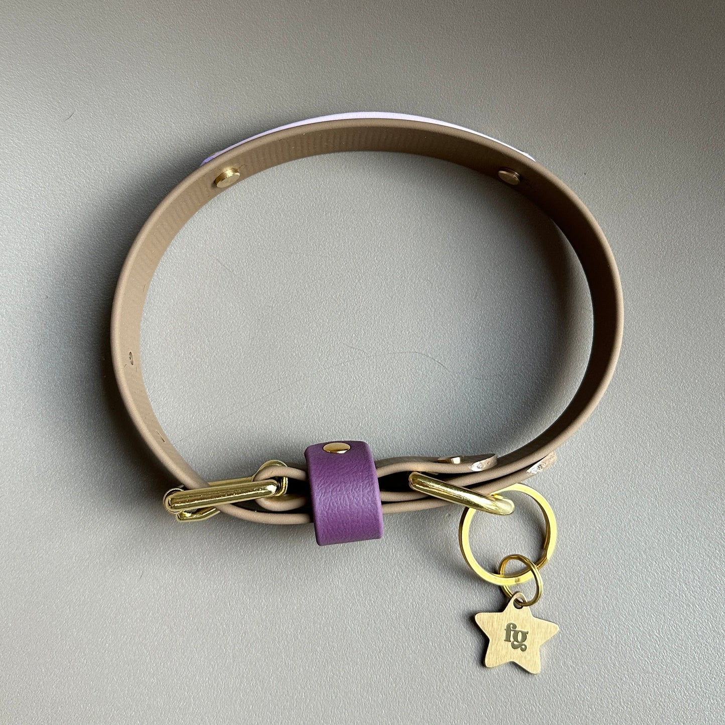 Plum Colourband BioThane® Collar