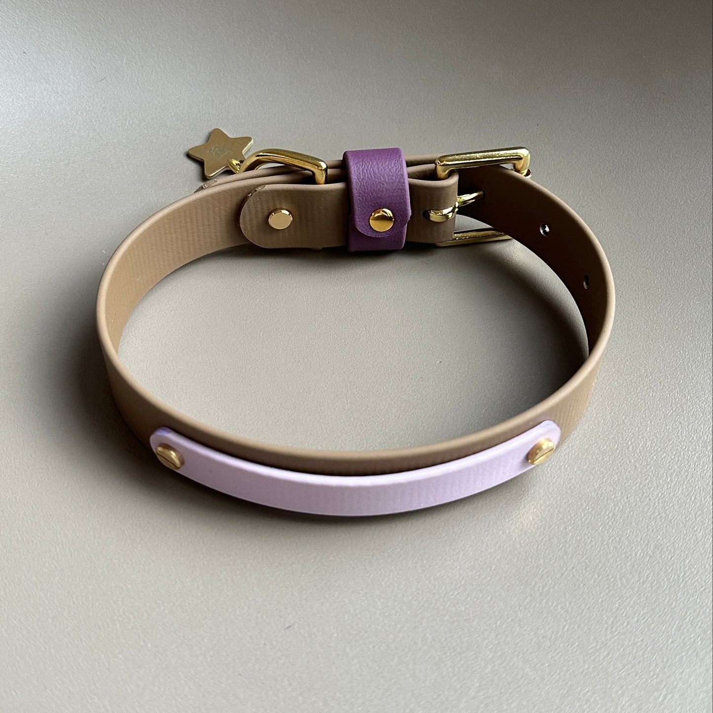 Plum Colourband BioThane® Collar