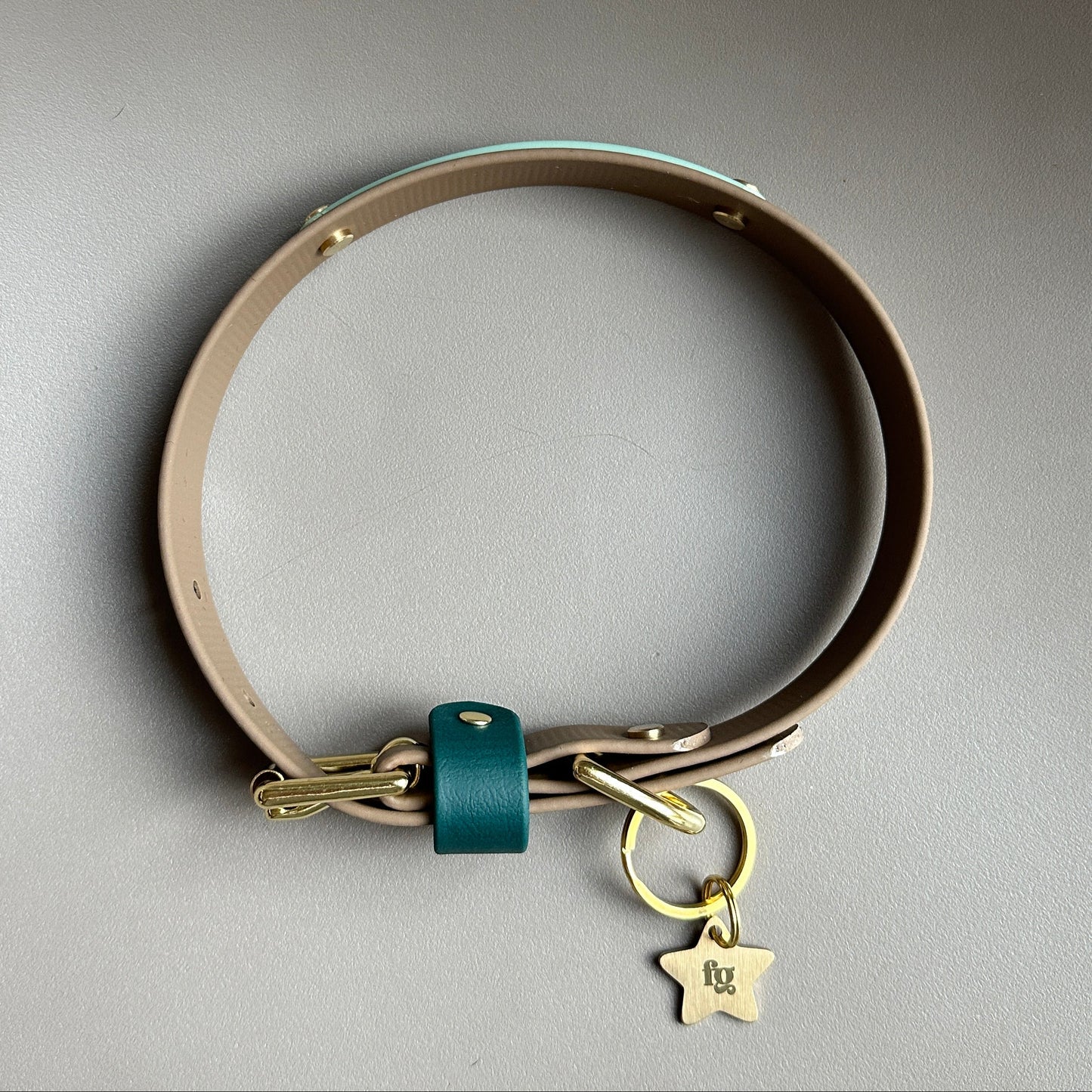 Forest Colourband BioThane® Collar