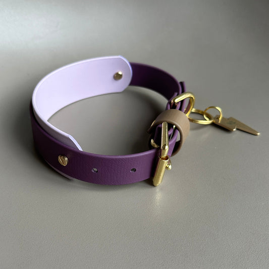 Amethyst BioThane® Hound Style Collar