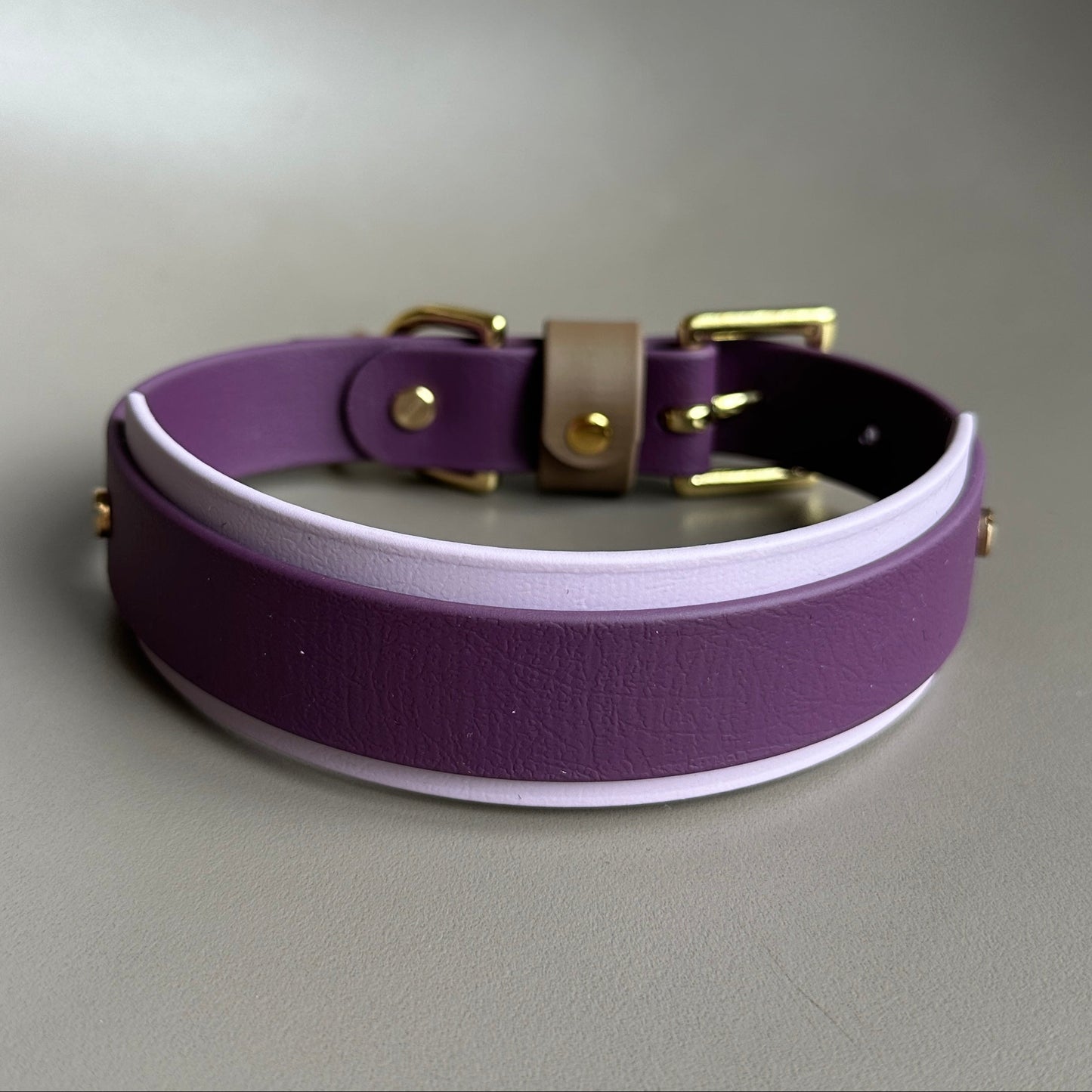 Amethyst BioThane® Hound Style Collar