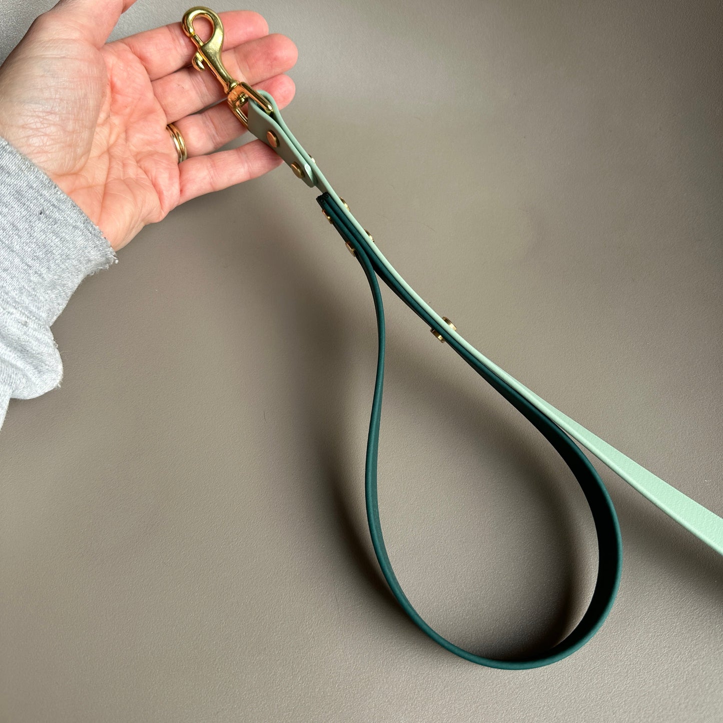 Forest Crossbody Grab Handle BioThane® Lead